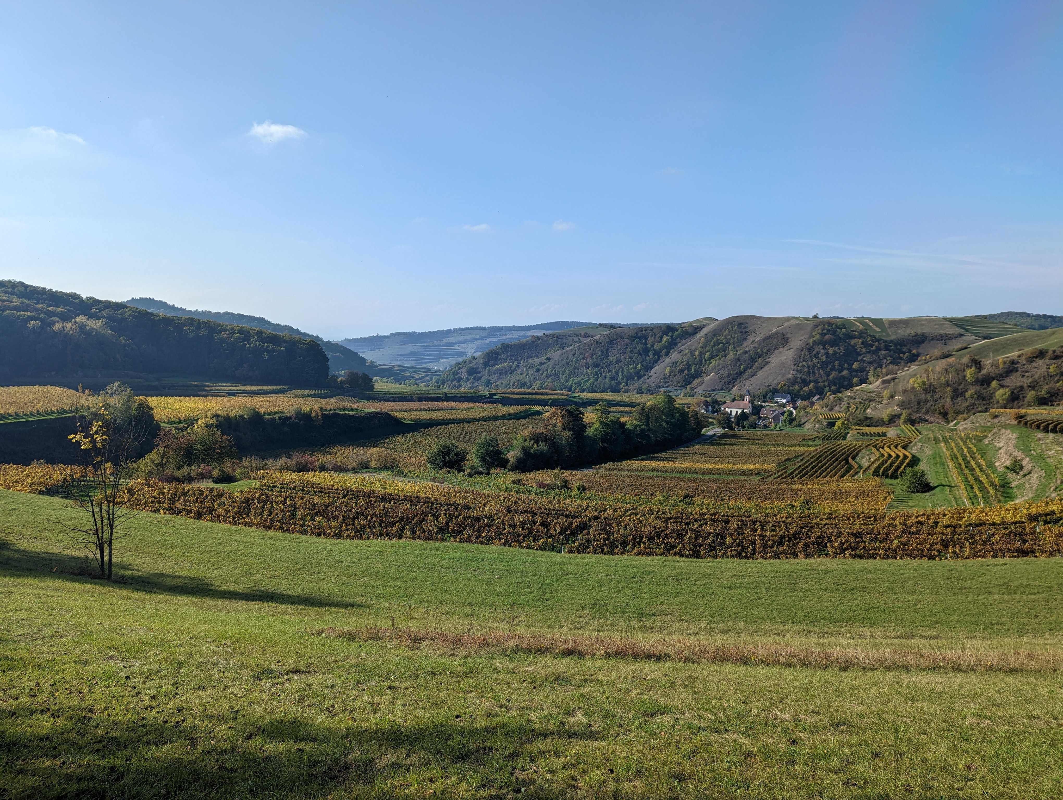 Photo of fields and hills with vinyards and a small village in the middle